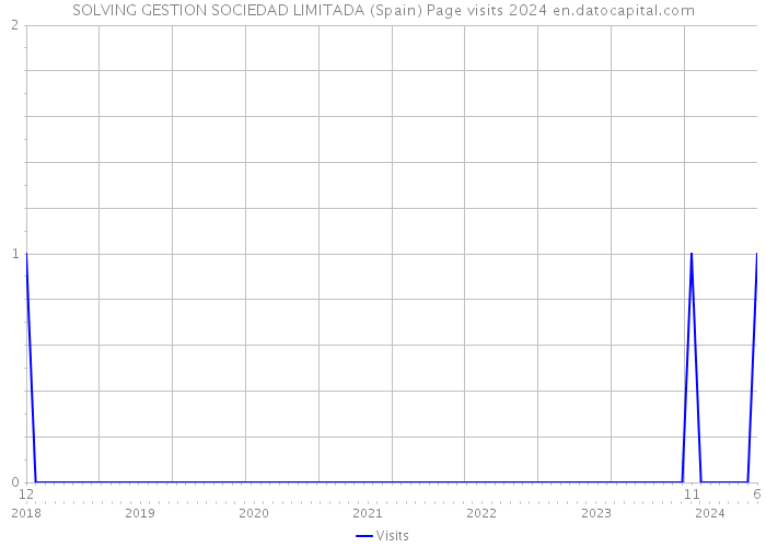SOLVING GESTION SOCIEDAD LIMITADA (Spain) Page visits 2024 