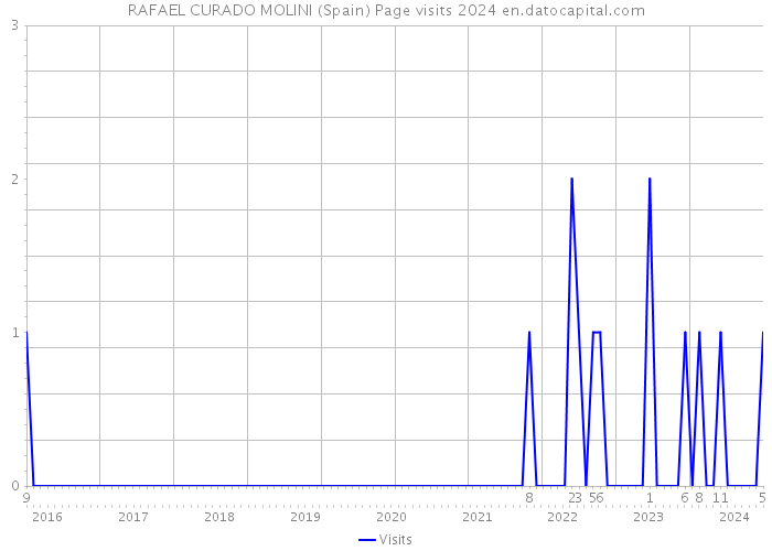 RAFAEL CURADO MOLINI (Spain) Page visits 2024 