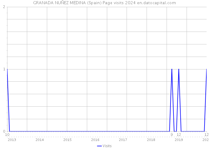 GRANADA NUÑEZ MEDINA (Spain) Page visits 2024 