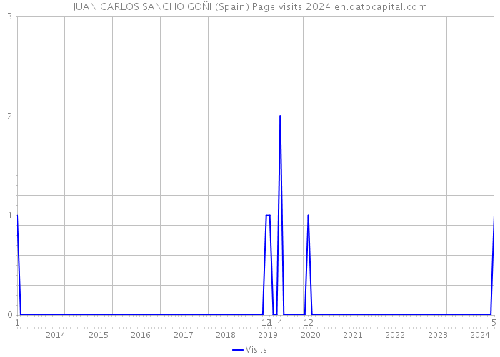 JUAN CARLOS SANCHO GOÑI (Spain) Page visits 2024 
