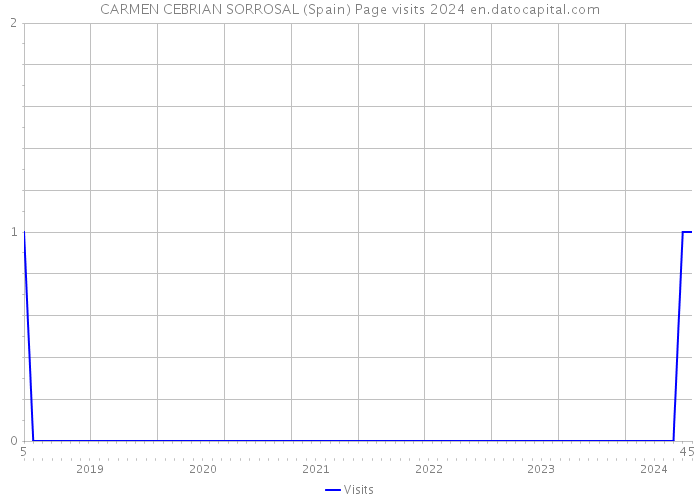 CARMEN CEBRIAN SORROSAL (Spain) Page visits 2024 