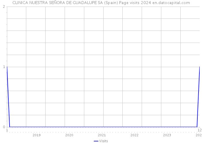 CLINICA NUESTRA SEÑORA DE GUADALUPE SA (Spain) Page visits 2024 