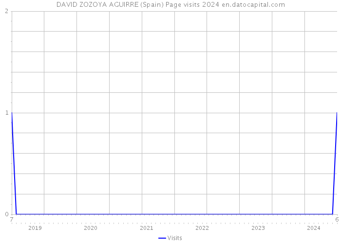 DAVID ZOZOYA AGUIRRE (Spain) Page visits 2024 