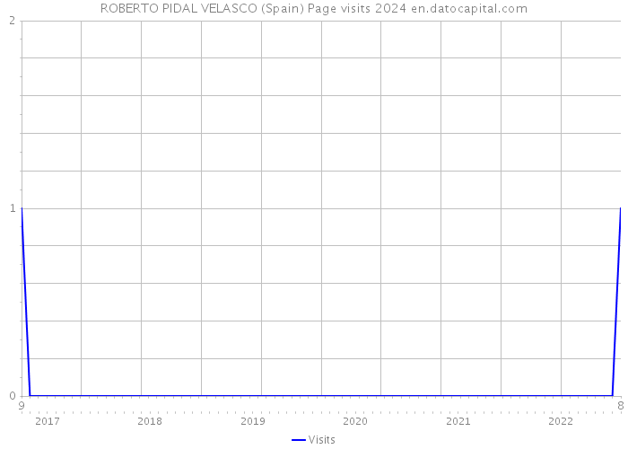 ROBERTO PIDAL VELASCO (Spain) Page visits 2024 