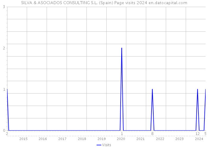 SILVA & ASOCIADOS CONSULTING S.L. (Spain) Page visits 2024 