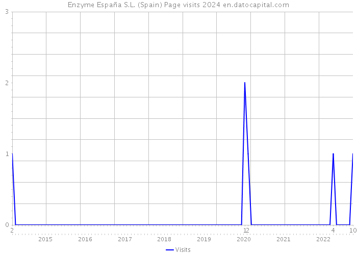 Enzyme España S.L. (Spain) Page visits 2024 