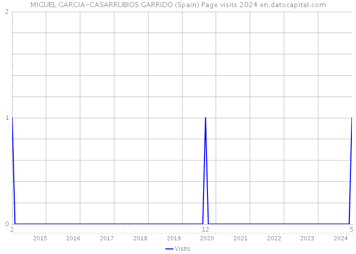 MIGUEL GARCIA-CASARRUBIOS GARRIDO (Spain) Page visits 2024 