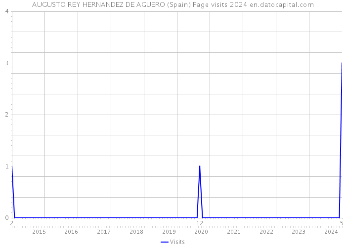 AUGUSTO REY HERNANDEZ DE AGUERO (Spain) Page visits 2024 