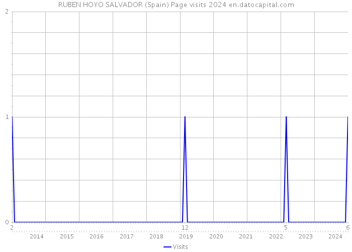 RUBEN HOYO SALVADOR (Spain) Page visits 2024 