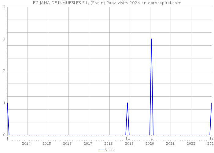 ECIJANA DE INMUEBLES S.L. (Spain) Page visits 2024 