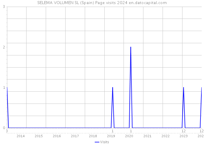 SELEMA VOLUMEN SL (Spain) Page visits 2024 