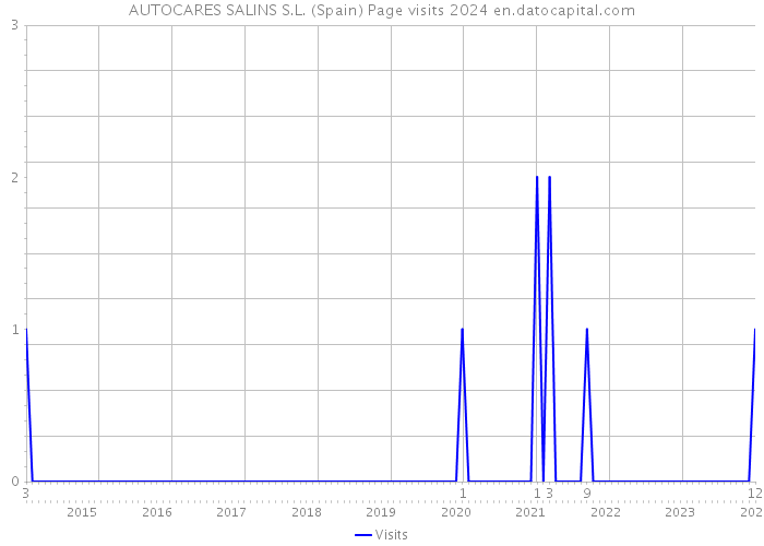 AUTOCARES SALINS S.L. (Spain) Page visits 2024 