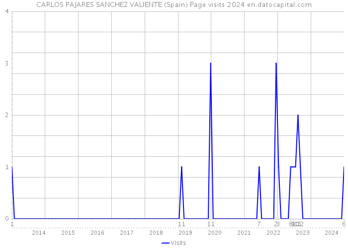 CARLOS PAJARES SANCHEZ VALIENTE (Spain) Page visits 2024 