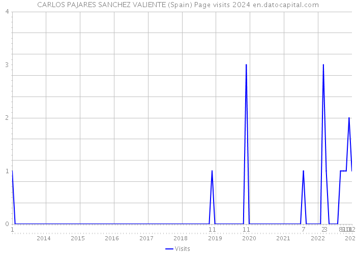 CARLOS PAJARES SANCHEZ VALIENTE (Spain) Page visits 2024 