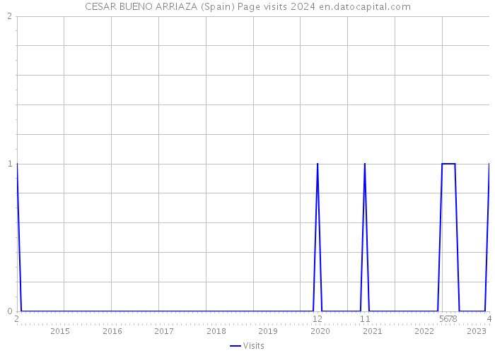 CESAR BUENO ARRIAZA (Spain) Page visits 2024 