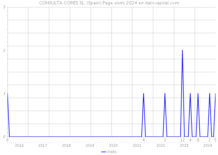 CONSULTA CORES SL. (Spain) Page visits 2024 