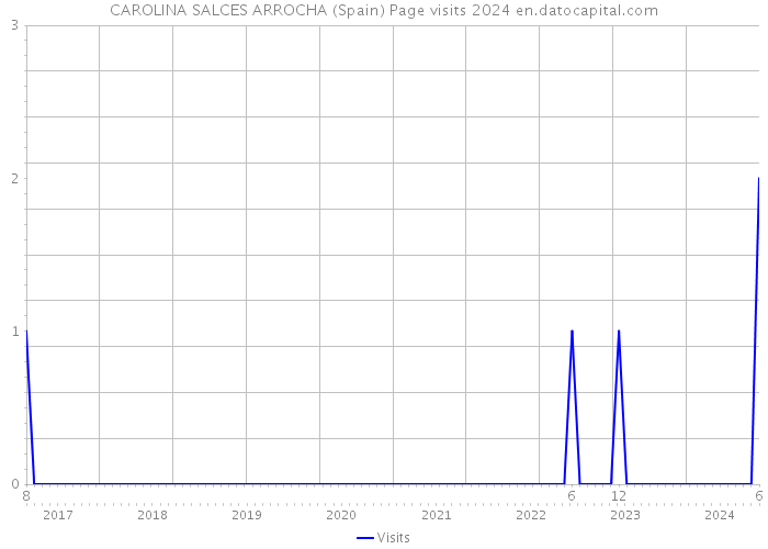 CAROLINA SALCES ARROCHA (Spain) Page visits 2024 