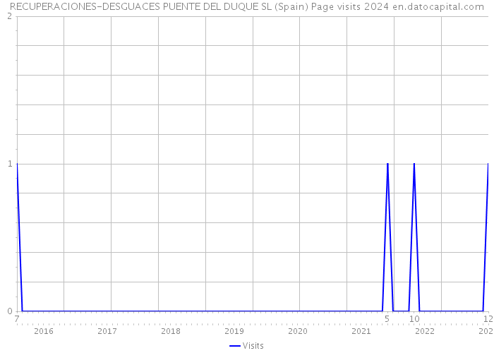 RECUPERACIONES-DESGUACES PUENTE DEL DUQUE SL (Spain) Page visits 2024 