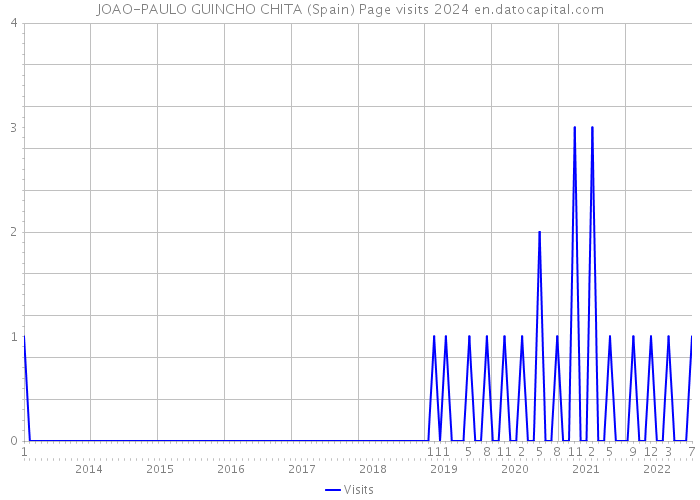 JOAO-PAULO GUINCHO CHITA (Spain) Page visits 2024 