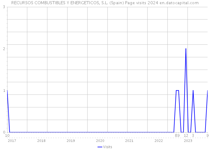 RECURSOS COMBUSTIBLES Y ENERGETICOS, S.L. (Spain) Page visits 2024 