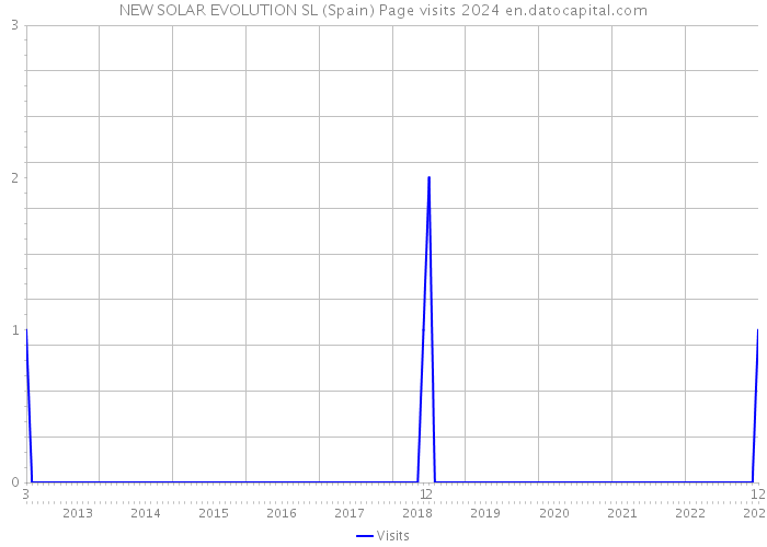 NEW SOLAR EVOLUTION SL (Spain) Page visits 2024 