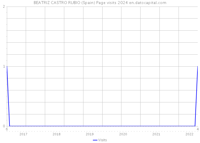 BEATRIZ CASTRO RUBIO (Spain) Page visits 2024 