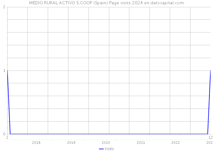 MEDIO RURAL ACTIVO S.COOP (Spain) Page visits 2024 
