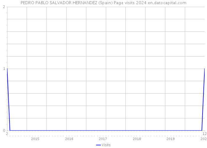 PEDRO PABLO SALVADOR HERNANDEZ (Spain) Page visits 2024 