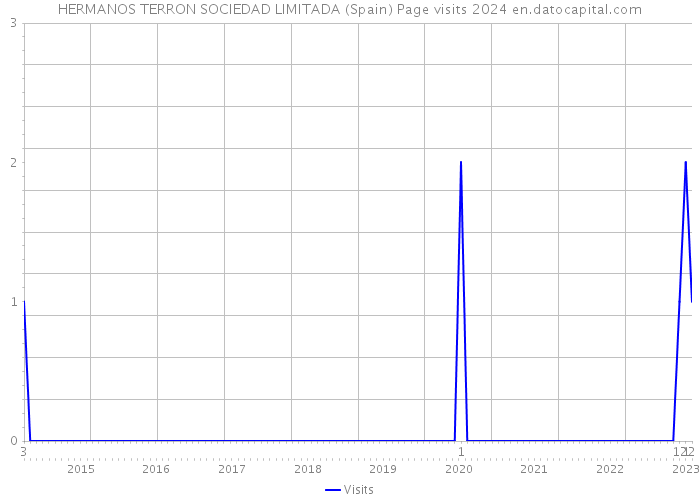 HERMANOS TERRON SOCIEDAD LIMITADA (Spain) Page visits 2024 