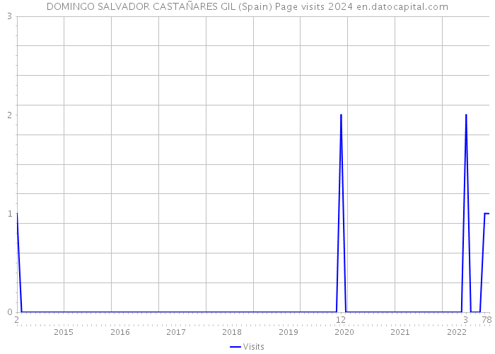 DOMINGO SALVADOR CASTAÑARES GIL (Spain) Page visits 2024 