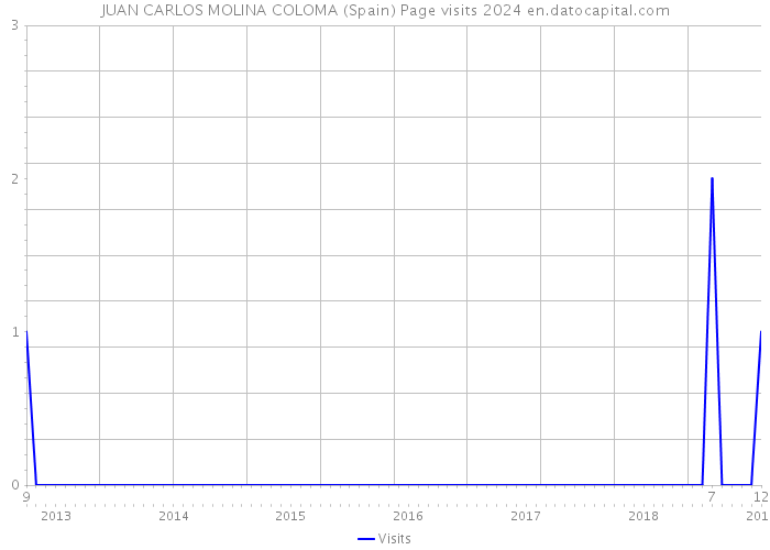 JUAN CARLOS MOLINA COLOMA (Spain) Page visits 2024 