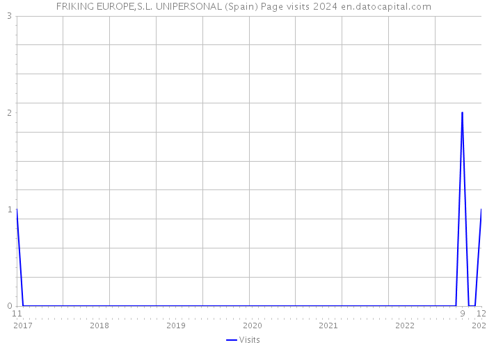 FRIKING EUROPE,S.L. UNIPERSONAL (Spain) Page visits 2024 