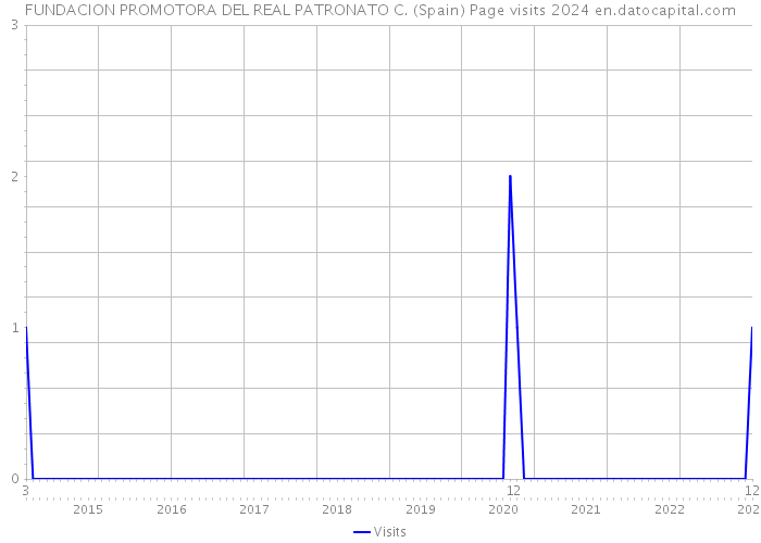 FUNDACION PROMOTORA DEL REAL PATRONATO C. (Spain) Page visits 2024 