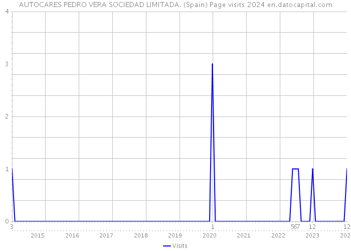 AUTOCARES PEDRO VERA SOCIEDAD LIMITADA. (Spain) Page visits 2024 
