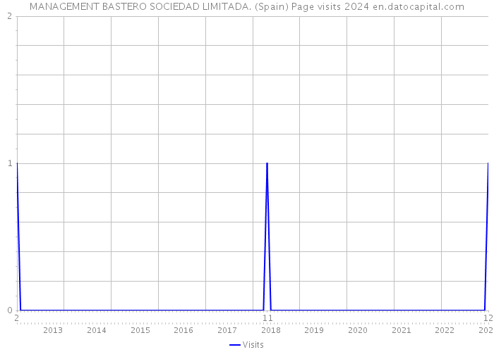 MANAGEMENT BASTERO SOCIEDAD LIMITADA. (Spain) Page visits 2024 