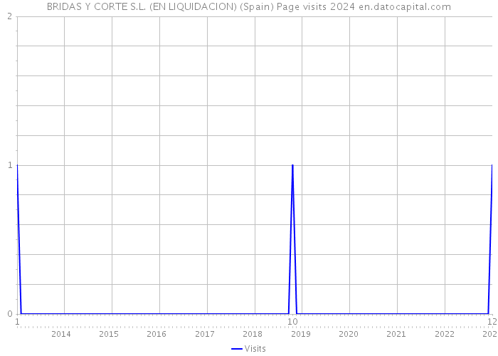 BRIDAS Y CORTE S.L. (EN LIQUIDACION) (Spain) Page visits 2024 