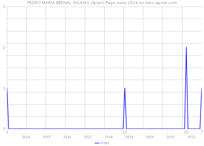 PEDRO MARIA BERNAL SALINAS (Spain) Page visits 2024 