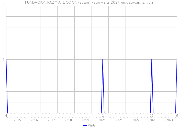 FUNDACION PAZ Y AFLICCION (Spain) Page visits 2024 