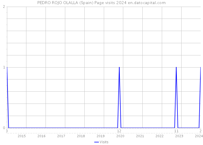 PEDRO ROJO OLALLA (Spain) Page visits 2024 