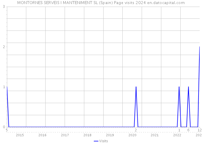 MONTORNES SERVEIS I MANTENIMENT SL (Spain) Page visits 2024 