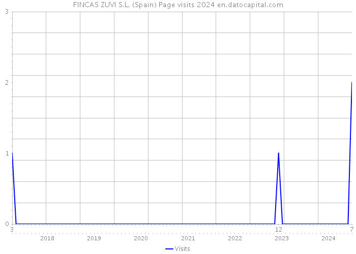 FINCAS ZUVI S.L. (Spain) Page visits 2024 