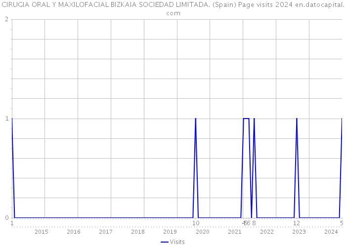 CIRUGIA ORAL Y MAXILOFACIAL BIZKAIA SOCIEDAD LIMITADA. (Spain) Page visits 2024 