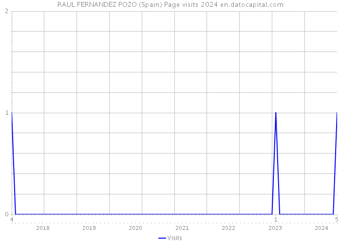 RAUL FERNANDEZ POZO (Spain) Page visits 2024 