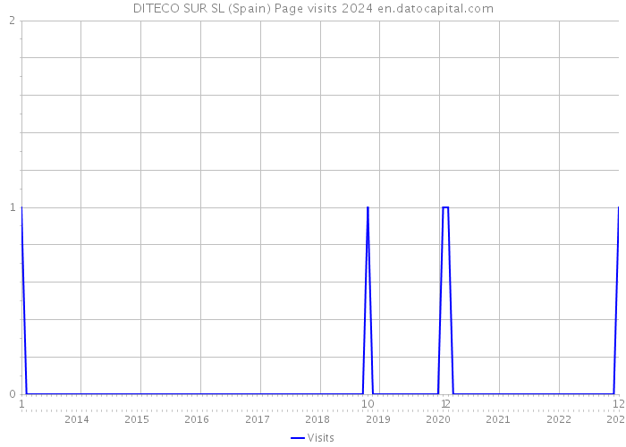 DITECO SUR SL (Spain) Page visits 2024 