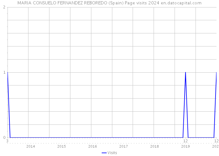 MARIA CONSUELO FERNANDEZ REBOREDO (Spain) Page visits 2024 