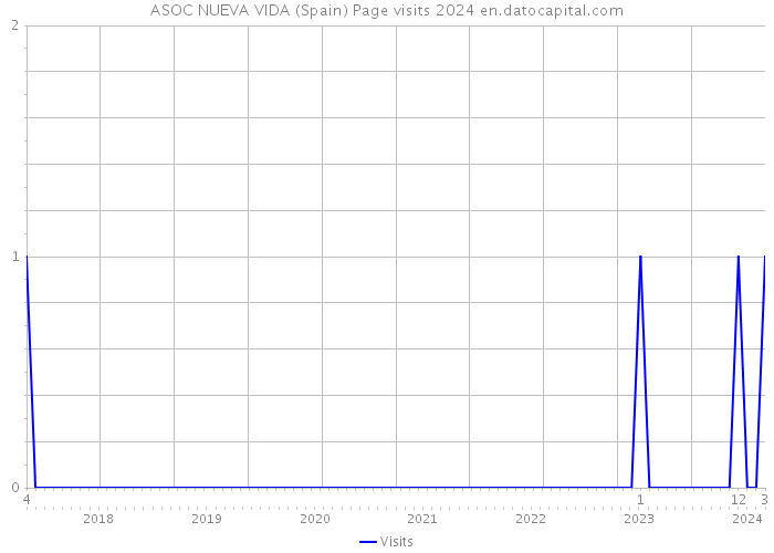 ASOC NUEVA VIDA (Spain) Page visits 2024 