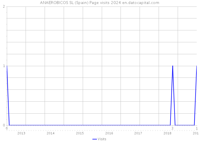 ANAEROBICOS SL (Spain) Page visits 2024 