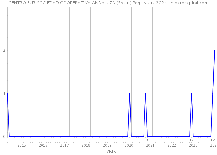 CENTRO SUR SOCIEDAD COOPERATIVA ANDALUZA (Spain) Page visits 2024 