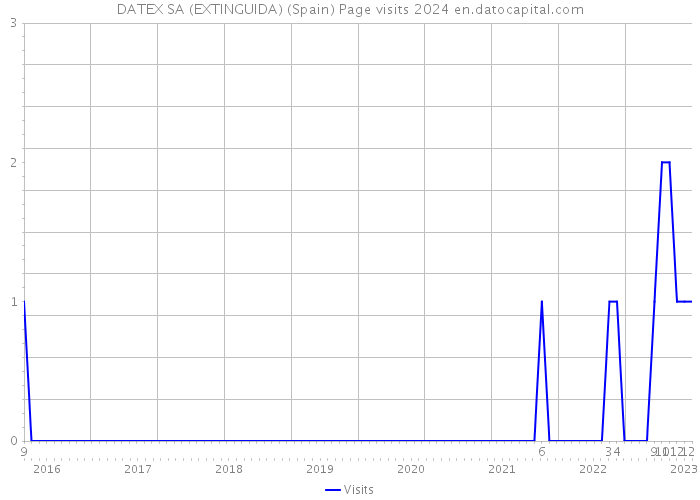 DATEX SA (EXTINGUIDA) (Spain) Page visits 2024 