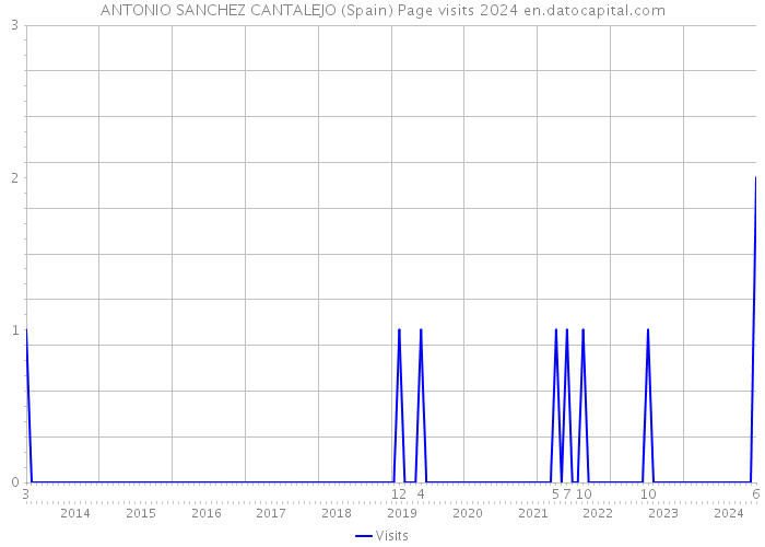 ANTONIO SANCHEZ CANTALEJO (Spain) Page visits 2024 